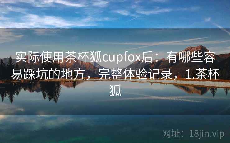 实际使用茶杯狐cupfox后：有哪些容易踩坑的地方，完整体验记录，1.茶杯狐