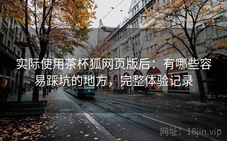 实际使用茶杯狐网页版后:有哪些容易踩坑的地方,完整体验记录 实际使用茶杯狐网页版后:有哪些容易踩坑的地方,完整体验记录