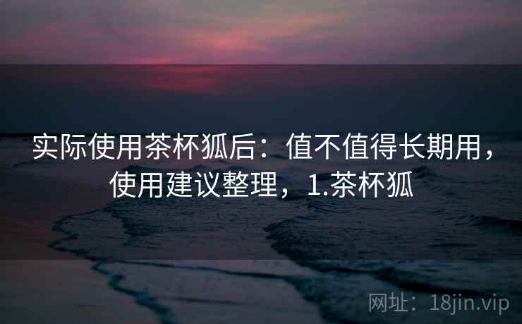 实际使用茶杯狐后：值不值得长期用，使用建议整理，1.茶杯狐