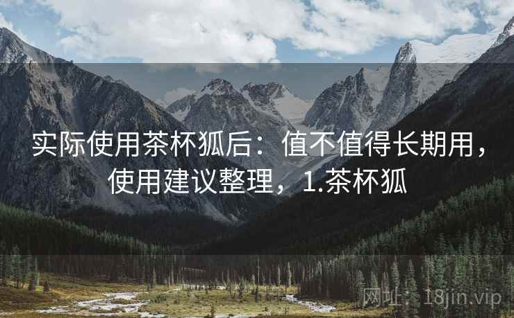 实际使用茶杯狐后：值不值得长期用，使用建议整理，1.茶杯狐