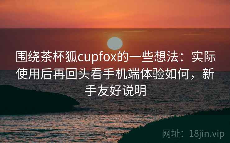 围绕茶杯狐cupfox的一些想法：实际使用后再回头看手机端体验如何，新手友好说明