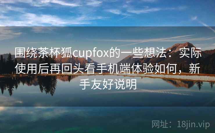 围绕茶杯狐cupfox的一些想法：实际使用后再回头看手机端体验如何，新手友好说明