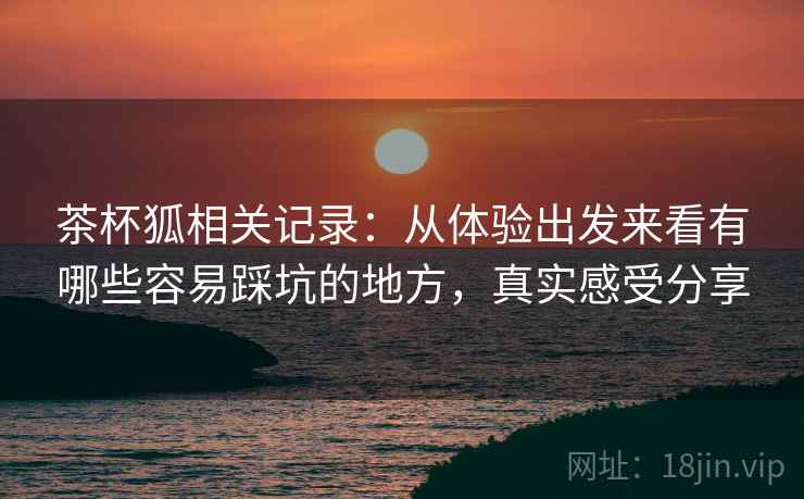 茶杯狐相关记录：从体验出发来看有哪些容易踩坑的地方，真实感受分享